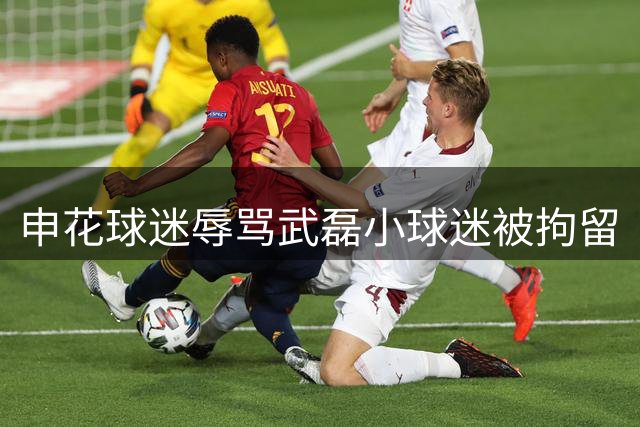 申花球迷辱骂武磊小球迷被拘留